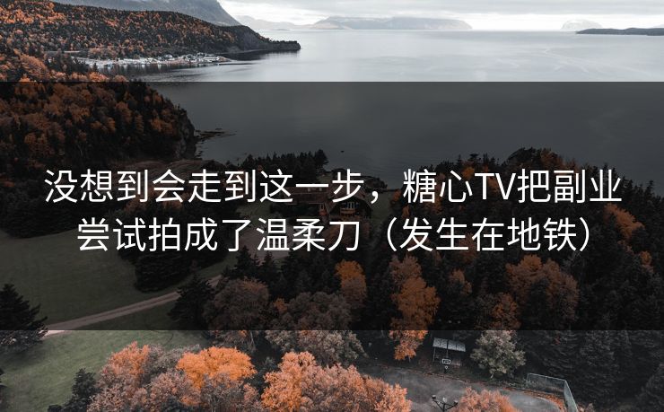 没想到会走到这一步,糖心TV把副业尝试拍成了温柔刀(发生在地铁) 没想到会走到这一步,糖心TV把副业尝试拍成了温柔刀(发生在地铁)