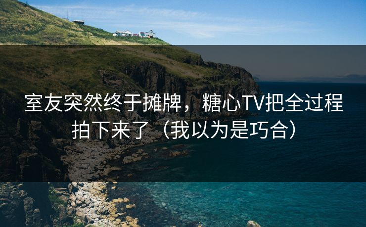 室友突然终于摊牌，糖心TV把全过程拍下来了（我以为是巧合）