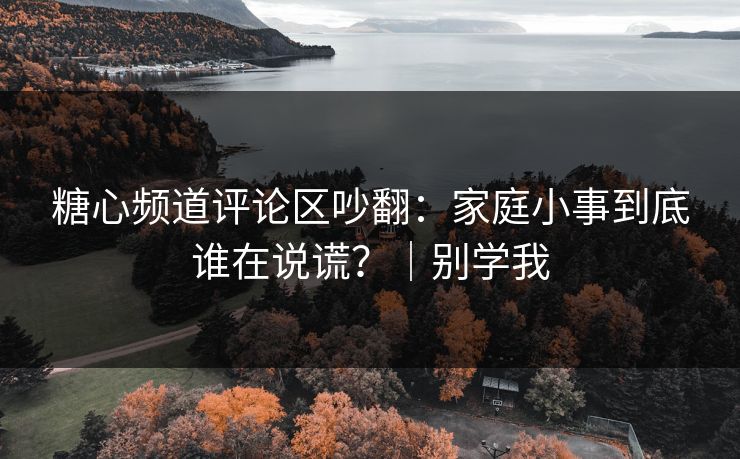 糖心频道评论区吵翻：家庭小事到底谁在说谎？｜别学我