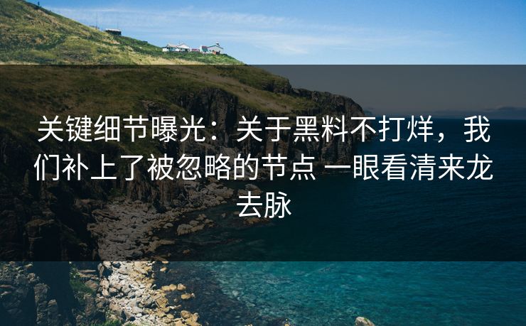 关键细节曝光：关于黑料不打烊，我们补上了被忽略的节点 一眼看清来龙去脉