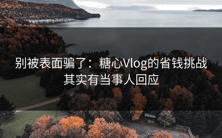 别被表面骗了：糖心Vlog的省钱挑战其实有当事人回应