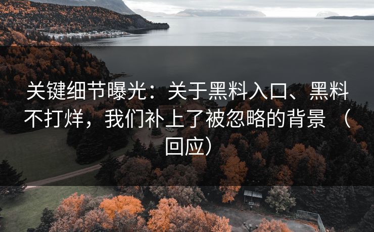 关键细节曝光：关于黑料入口、黑料不打烊，我们补上了被忽略的背景 （回应）