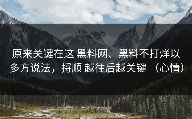 原来关键在这 黑料网、黑料不打烊以多方说法，捋顺 越往后越关键 （心情）