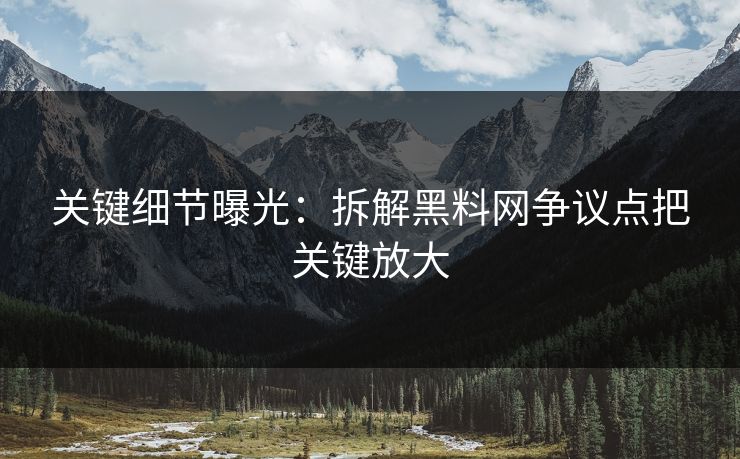 关键细节曝光：拆解黑料网争议点把关键放大