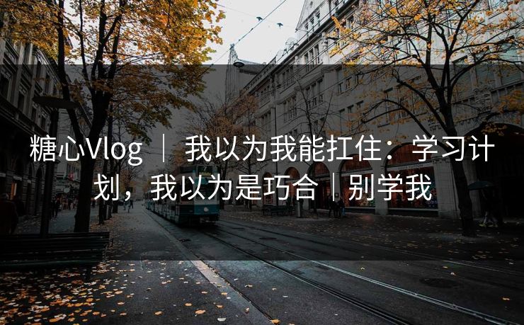 糖心Vlog ｜ 我以为我能扛住：学习计划，我以为是巧合｜别学我