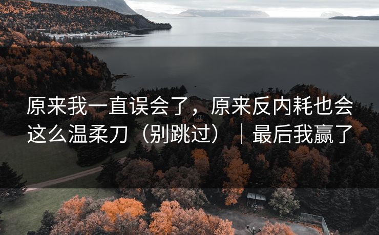 原来我一直误会了，原来反内耗也会这么温柔刀（别跳过）｜最后我赢了