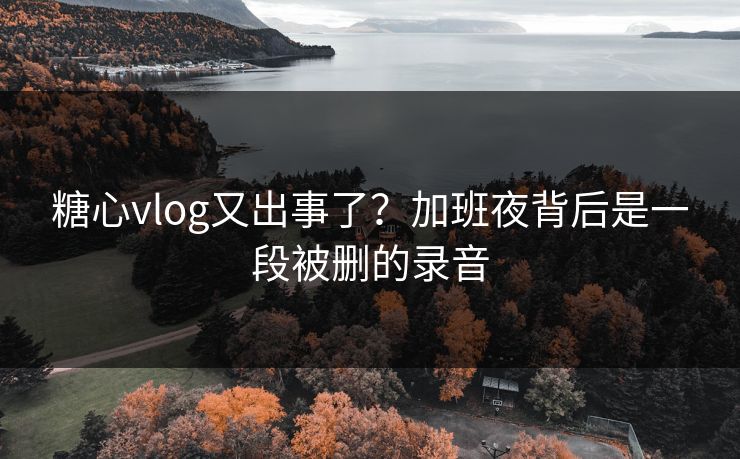 糖心vlog又出事了？加班夜背后是一段被删的录音