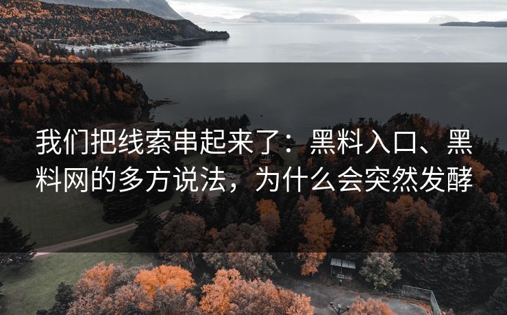 我们把线索串起来了：黑料入口、黑料网的多方说法，为什么会突然发酵