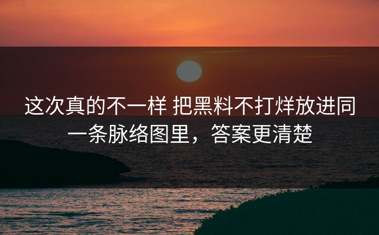 这次真的不一样 把黑料不打烊放进同一条脉络图里，答案更清楚