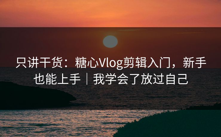 只讲干货：糖心Vlog剪辑入门，新手也能上手｜我学会了放过自己