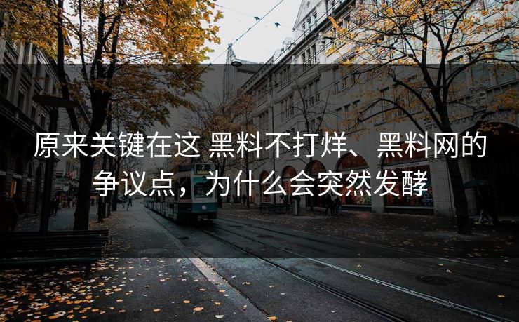 原来关键在这 黑料不打烊、黑料网的争议点，为什么会突然发酵
