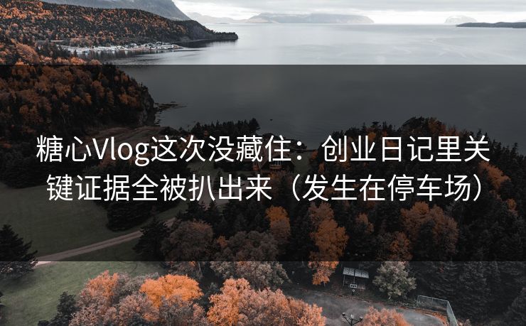 糖心Vlog这次没藏住：创业日记里关键证据全被扒出来（发生在停车场）