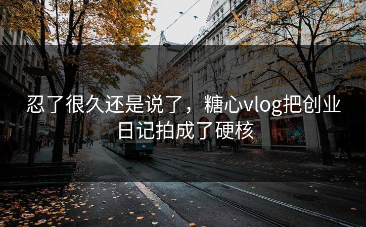 忍了很久还是说了，糖心vlog把创业日记拍成了硬核
